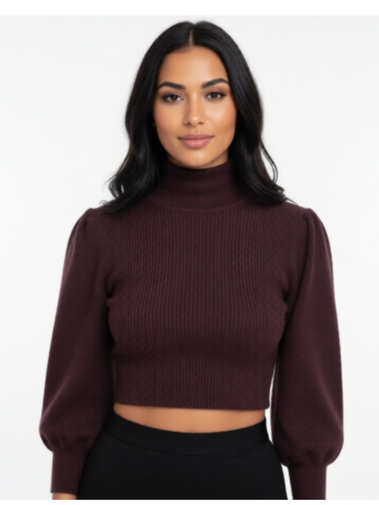 Zara Brown Cropped Ribbed Turtleneck Puff Sleeve Sweater M